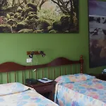 伊达因涅斯酒店 2* 弗龙特拉