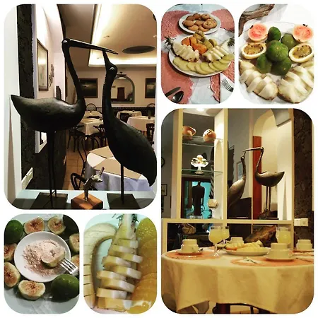 Ida Ines 프론테라